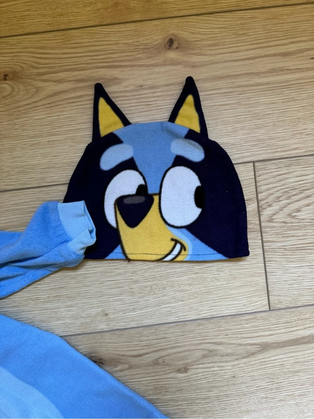 bluey outfit size 2t